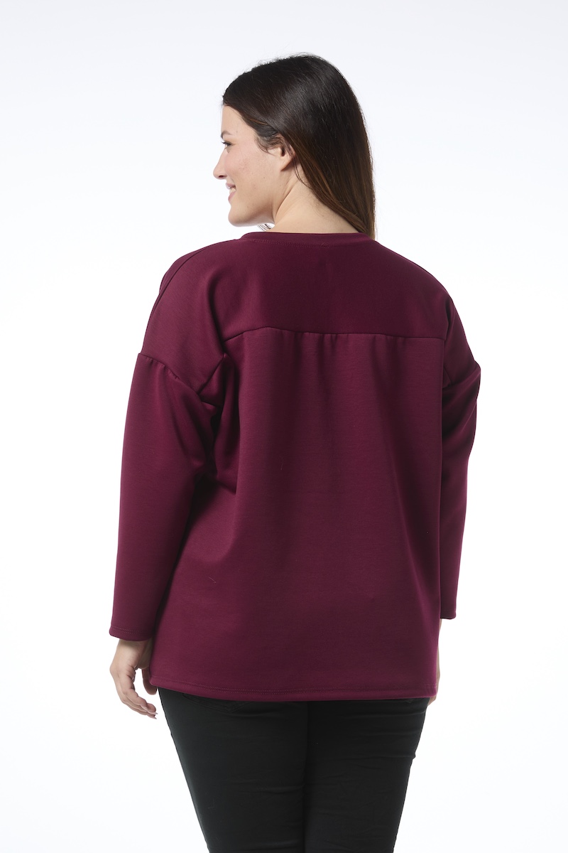 Timanttipuu college - viininpunainen - Image 3